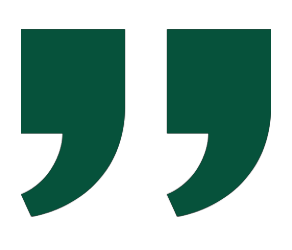 double quotation marks representing citation tools